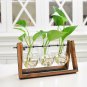 LanLan Creative Plant Glass Hydroponic Container Terrarium Desk Decor With Wood