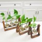 LanLan Creative Plant Glass Hydroponic Container Terrarium Desk Decor With Wood