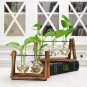 LanLan Creative Plant Glass Hydroponic Container Terrarium Desk Decor With Wood