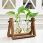 LanLan Creative Plant Glass Hydroponic Container Terrarium Desk Decor With Wood