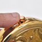 Gold Leash Dog Traction Rope Lead Retractable Automatic Training Collar Silver