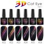 Magnetic Starry Sky Cat Eye Factory Price Gel CANNI New Product Fashion UV & LED