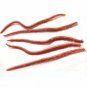 10PCS/Lot Artificial Sea Worms 135mm Soft Fishing Lures Soft Bait Lifelike Fishy