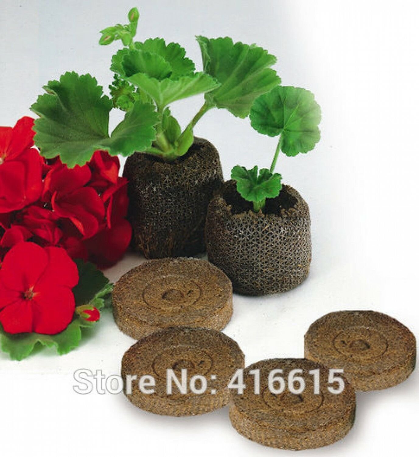 Seed Starting Plugs Jiffy Peat Pellets 50 Pcs Starter Growing Soil Seeds Plant