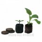 Seed Starting Plugs Jiffy Peat Pellets 50 Pcs Starter Growing Soil Seeds Plant
