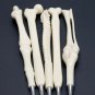Pen Ball Point 5 Pcs Creative Bones Writing Ballpoint Student School Supplies
