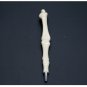 Pen Ball Point 5 Pcs Creative Bones Writing Ballpoint Student School Supplies