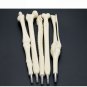 Pen Ball Point 5 Pcs Creative Bones Writing Ballpoint Student School Supplies
