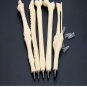 Pen Ball Point 5 Pcs Creative Bones Writing Ballpoint Student School Supplies