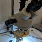 Simul-focal Continuous Zoom 7~45X Trinocular Stereo HDMI/VGA Microscope US STOCK