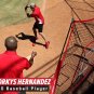 PowerNet DLX Baseball Softball 7x7 Practice Net Bundle w/Strike Zone, Ball Caddy
