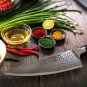 DALSTRONG Chef's Knife - Shogun Series X Gyuto - Japanese AUS-10V - Vacuum Treat