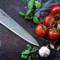 DALSTRONG Chef Knife - Shogun Series Gyuto - VG10 - 9.5" (240mm)
