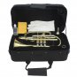 SLADE Brass Bb Mini Pocket Cornets Trumpet Kit for School Band with Case