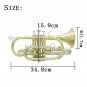 SLADE Brass Bb Mini Pocket Cornets Trumpet Kit for School Band with Case