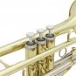 SLADE Brass Bb Mini Pocket Cornets Trumpet Kit for School Band with Case