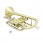 SLADE Brass Bb Mini Pocket Cornets Trumpet Kit for School Band with Case