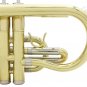 SLADE Brass Bb Mini Pocket Cornets Trumpet Kit for School Band with Case