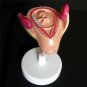 8pcs Anatomical Human Fetal Development Model Baby Fetus Pregnancy 1st-7th month