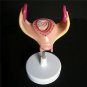 8pcs Anatomical Human Fetal Development Model Baby Fetus Pregnancy 1st-7th month