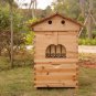 Amazing Garden Beekeeping Flow Hive With Auto 4pcs Flow Frames New Type Beehive