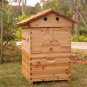 Amazing Garden Beekeeping Flow Hive With Auto 4pcs Flow Frames New Type Beehive