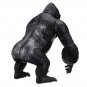 4D MASTER STEM Science 4D Vision Gorilla Assembly Medical Model 29 Parts DIY Jig