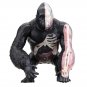 4D MASTER STEM Science 4D Vision Gorilla Assembly Medical Model 29 Parts DIY Jig