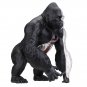 4D MASTER STEM Science 4D Vision Gorilla Assembly Medical Model 29 Parts DIY Jig