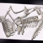 DIY 3D Dinosaur Skeleton T-rex Archaeological Excavation Toys Stegosaurus Triceratops Brachiosaurus