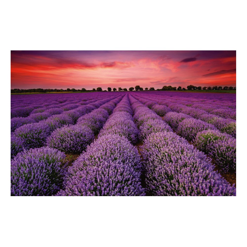 1000 Pieces Landscape Jigsaw Puzzle Toy Decompression Educational Indoor Toys