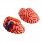 4D MASTER DIY Puzzle STEM 39pcs Assembly Skull Brain Neuroanatomical Medical Model Toy