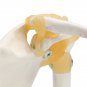 NEW Life Size Anatomical Functional Human Shoulder Joint Teaching Model