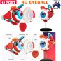 4D MASTER STEM 126mm Eye Model Assembly Human Anatomy Medical Model DIY 3D Structure Of The Eye Puzz