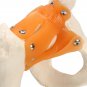 NEW Life Size Anatomical Functional Human Hip Joint Anatomy Model