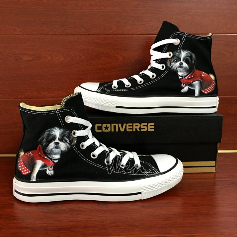 dog converse sneakers