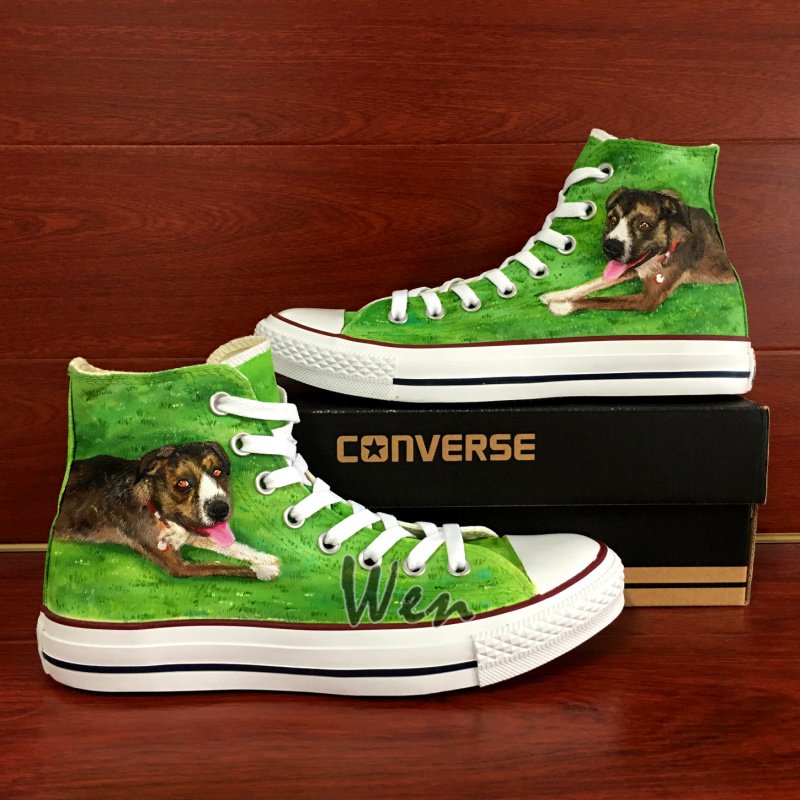 dog converse sneakers