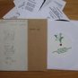 PUJOL black rabbit Produced by JACK WHITE 7" Record Vinyl RSD 2010 stripes