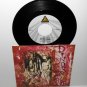DINOSAUR JR. freak scene , keep the glove 7" Vinyl Record , numero group records