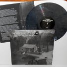 MICHAEL DEAN DAMRON plea Lp GREY Swirl Vinyl Record , i can lick any sonofabitch