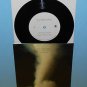 The WALKMEN dance with your partner , vermeer 7" Record Vinyl fat possum records
