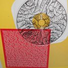 CEREMONY cover songs WIRE, URBAN WASTE, EDDIE & SUBTITLES Lp Record with ETCHING