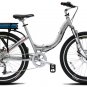 Prodecotech Stride 300 Watt 8-Speed Folding Frame Hybrid eBike