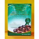 Inca protein powder 500g