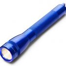 Mini Maglite 2-AA Flashlight