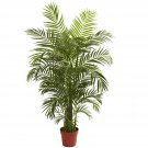 4.5ft Areca Palm UV Resistant (Indoor/Outdoor)