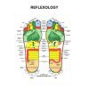 Reflexology Foot poster Metal Sign 8inx 12in