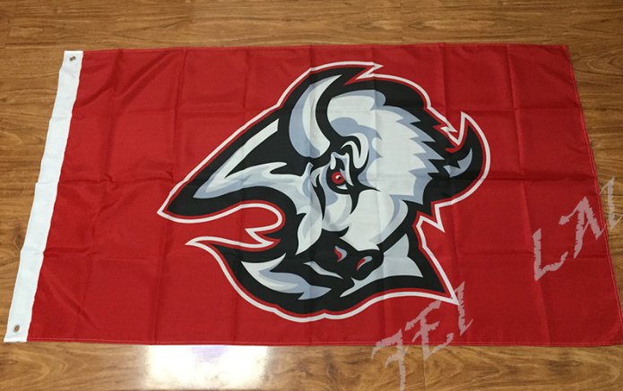 Buffalo Sabres Flag 3ftx5ft Banner 100D Polyester NHL Flag style 2