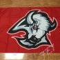 Buffalo Sabres Flag 3ftx5ft Banner 100D Polyester NHL Flag style 2