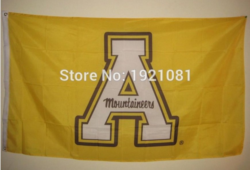 Appalachian State Mountaineers 3ftx5ft Banner 100D Polyester NCAA Flag